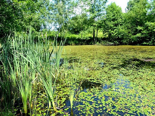 Haute-Saône - Base VTT des Mille Etangs