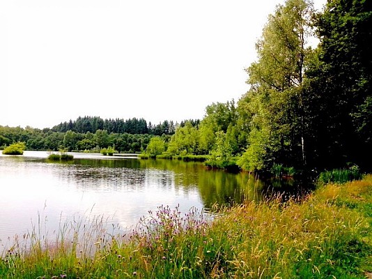 Haute-Saône - Base VTT des Mille Etangs