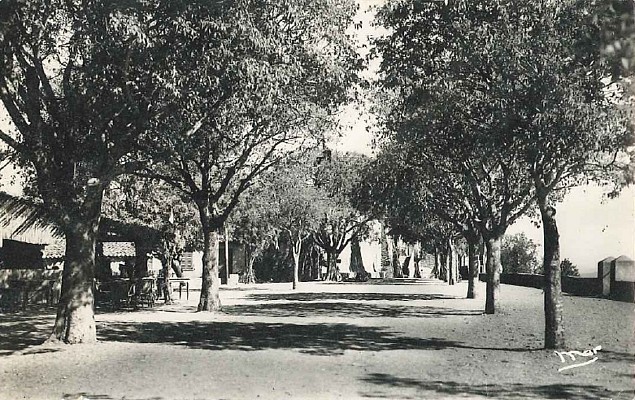3- Leï Barri