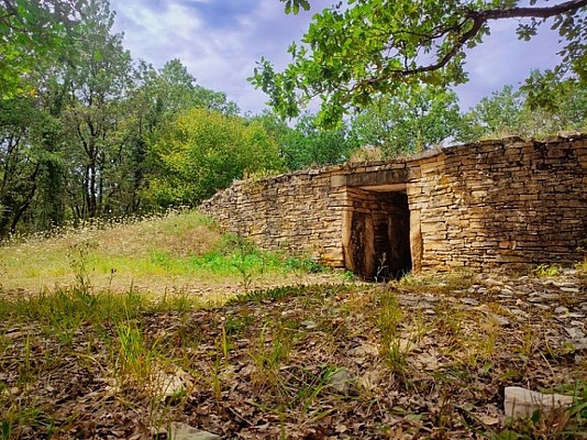 Sentier du bois des Guillots - Xambes