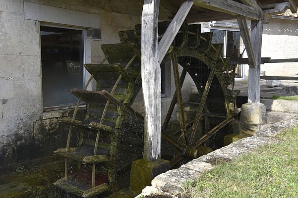 Sentier de Trotte-Lapin - Anais