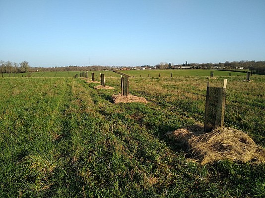 Sentier Eole - La Tâche