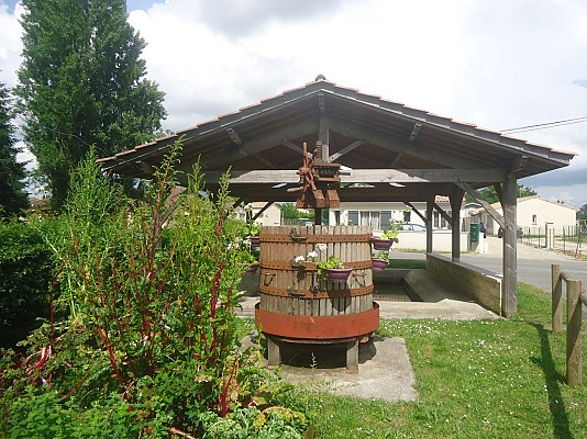 DSC02181