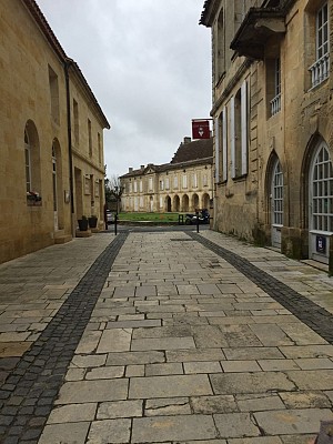 thumbnail_IMG_8896