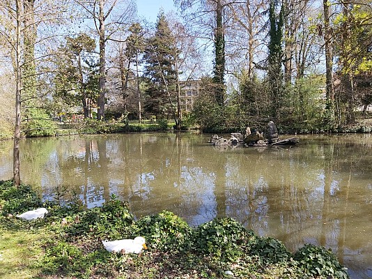 Libourne epinette (9)