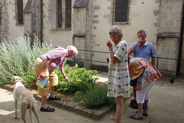 Eglise Notre-Dame , Cloître et jardin de Donnemarie-Dontilly