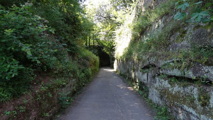 Chemin des insectes