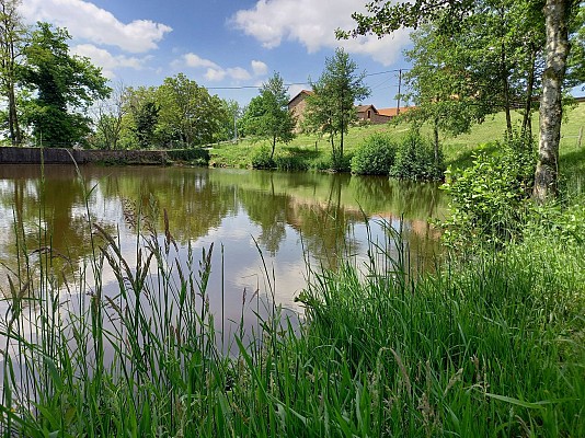 Plan d'eau du Colombier