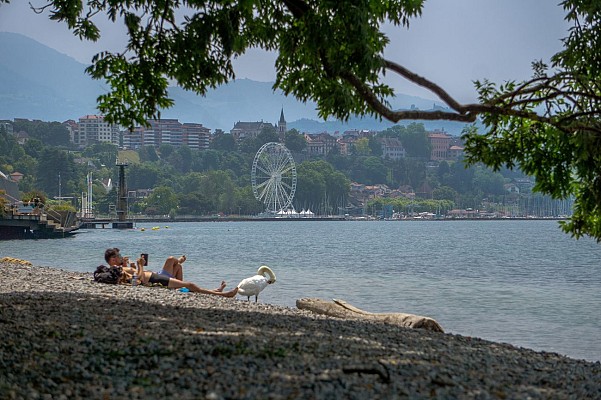 Plage de la Pinède