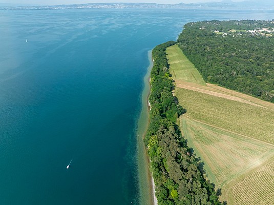 Plage de la Pinède
