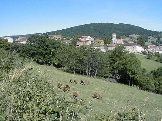 Cenves - Circuit des familles