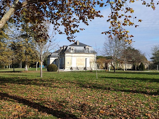 IMG20211110125226