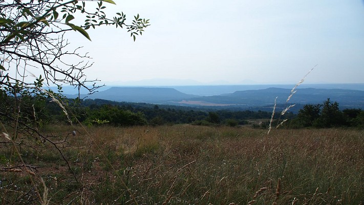 Commune de Revest-Saint-Martin