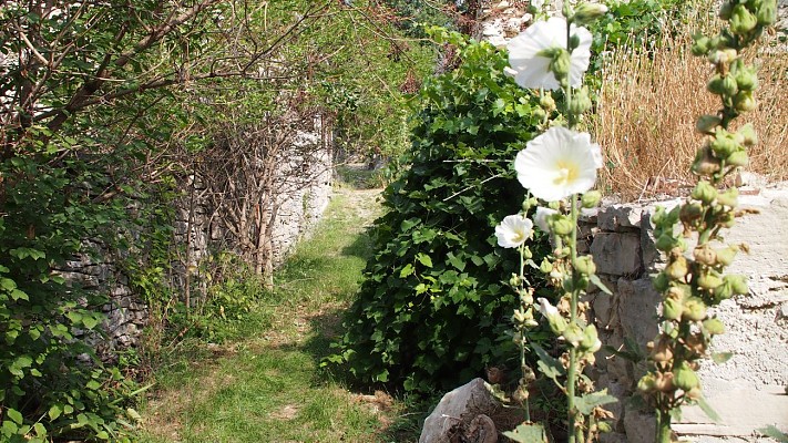 Commune de Revest-Saint-Martin