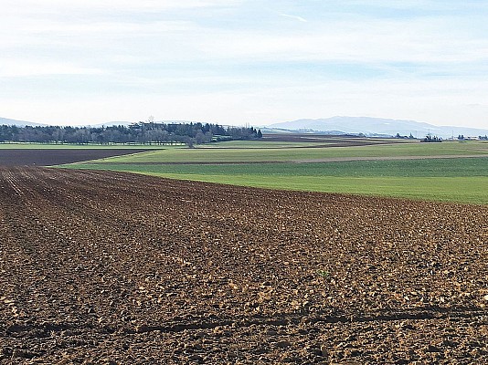 Vue sur le Pilat