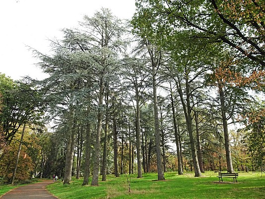 Allée du parc