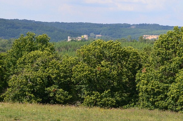 Point de vue de Delrieu