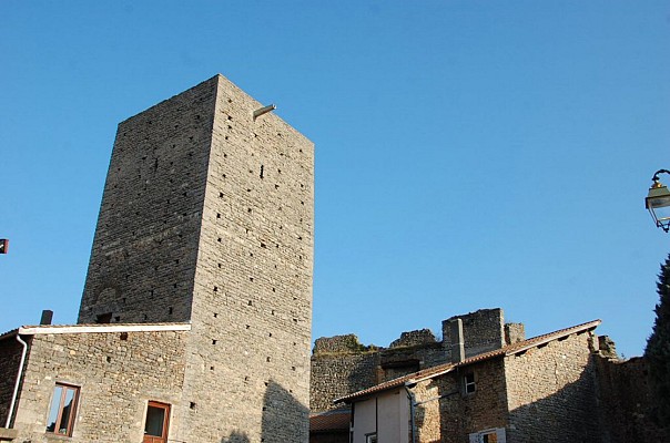 Tour Médiévale