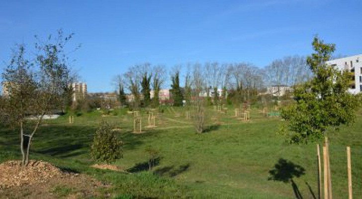 Arboretum