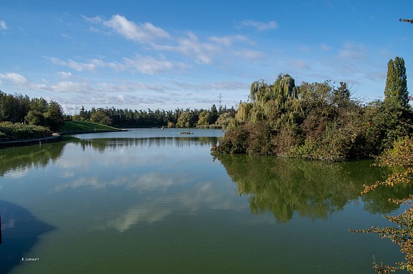Sausset-Etang de Savigny