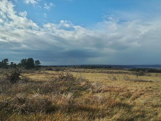 Le plateau de Malzéville