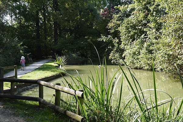 Le parc de l'Embanie