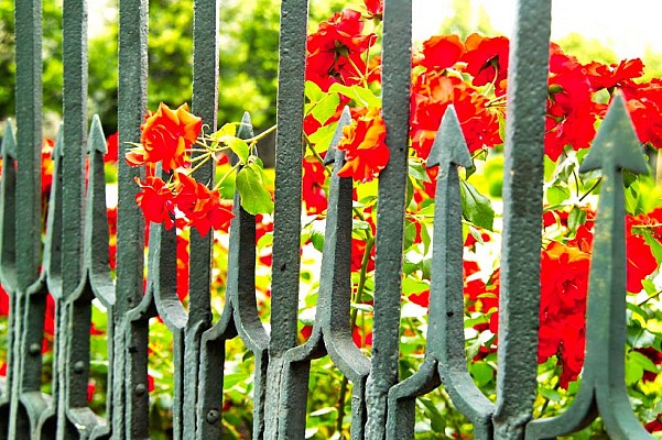 Parc de la Grille à Moirans