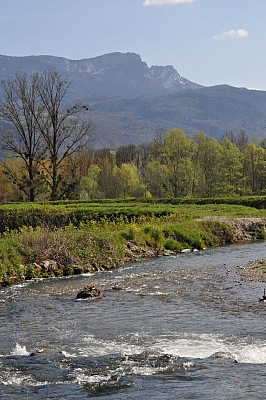 Parc du Vergeron