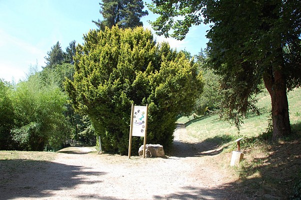Sentier botanique du parc du Clos des Chartreux