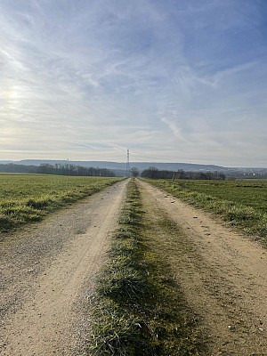 Paysage openfield