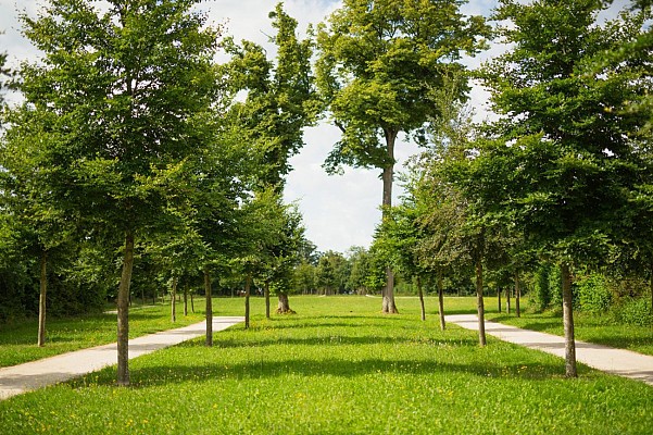 Le parc de Brabois