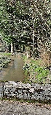 Entre lavoirs et cours d'eau.