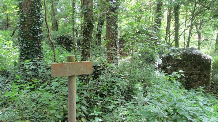 Ruines du Moulin Bissy