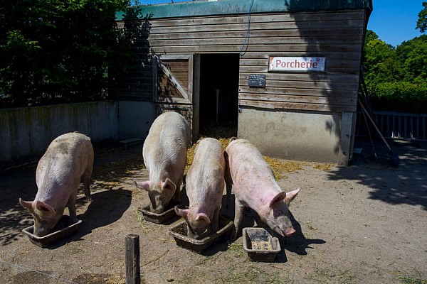 Ferme de Paris