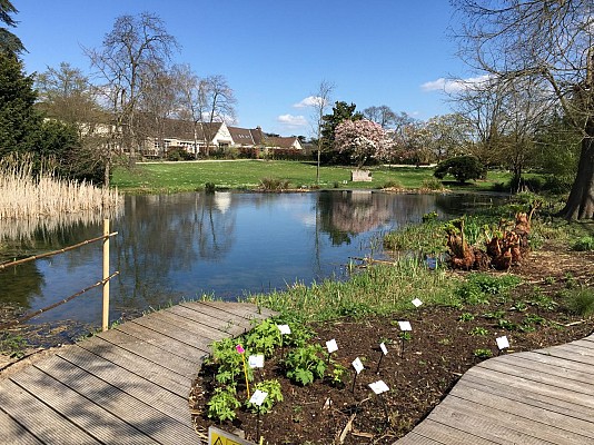 Arboretum de Paris
