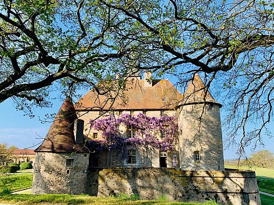 Jardins du Château de Beauvoir
