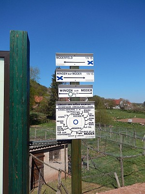 Balade sonore - Découverte de Zittersheim