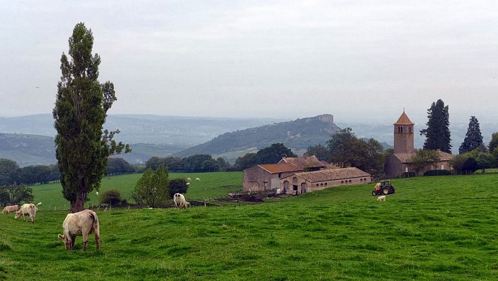 Cenves - Circuit des chèvres