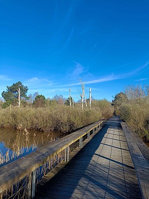 IMG_20250318_084833