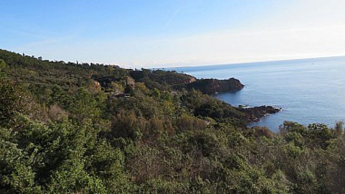 Vue vers l'est