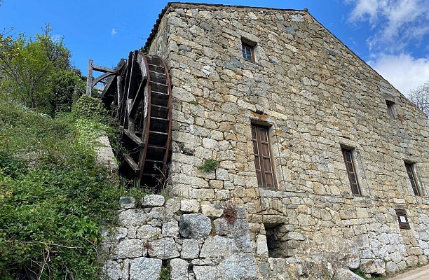 Eco-musée du moulin à huile