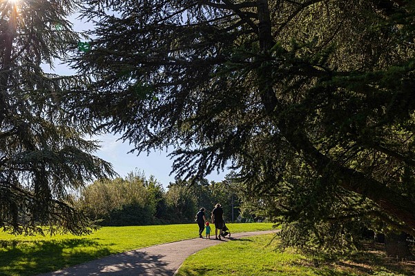 Parc du Plateau