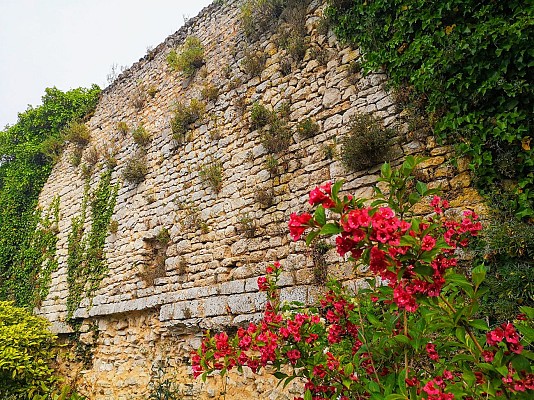 La Tour Madeleine et ses remparts