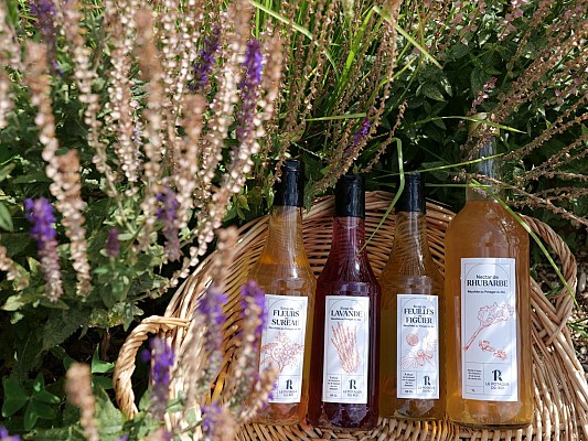 Potager du Roi