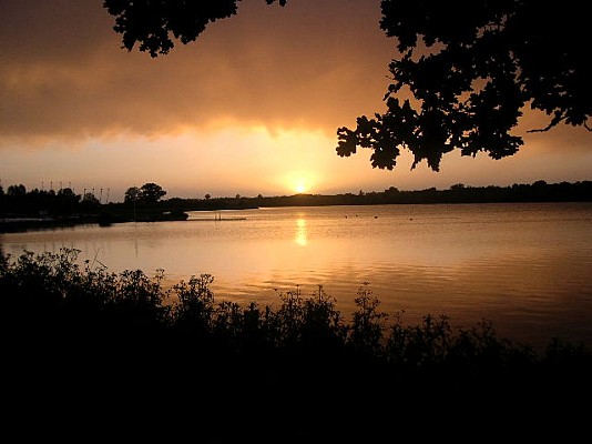 La Rincerie : site protégé, lac, pêche, ornithologie, activités nature, nautiques, plein-air, Camping***, salles, hébergement