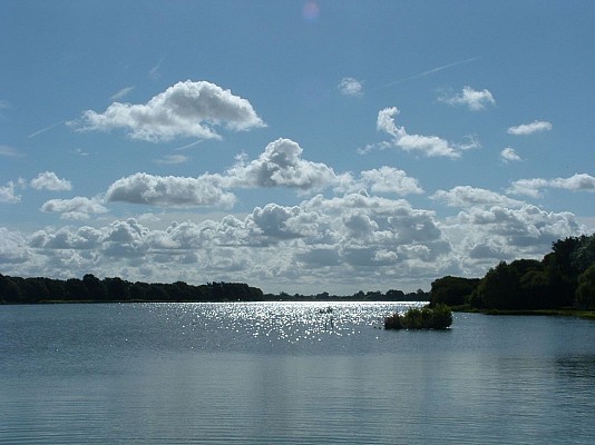 La Rincerie : site protégé, lac, pêche, ornithologie, activités nature, nautiques, plein-air, Camping***, salles, hébergement