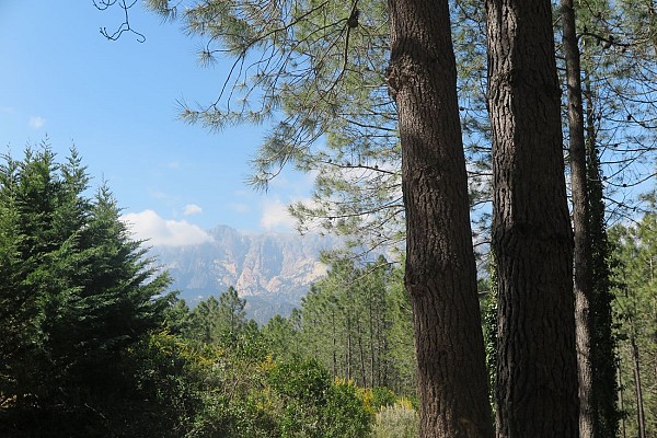 Vue sur les Aiguilles