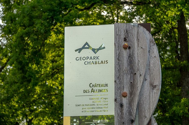 Châteaux des Allinges