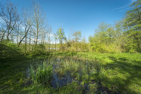 Espace Naturel Sensible Etang de Gôle