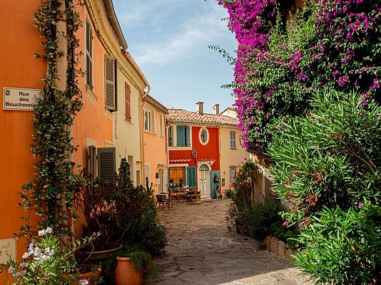 Bormes Les Mimosas